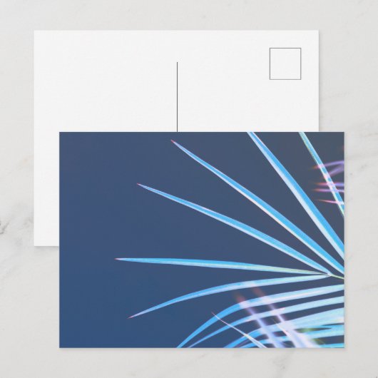 Palm Tree Leaves Minimalism Sketch Briefkaart (Voorkant / Achterkant)