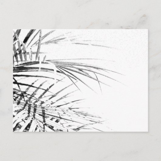 Palm Tree Leaves Minimalism Sketch Briefkaart (Voorkant)
