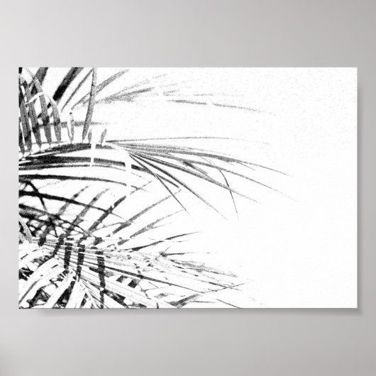 Palm Tree Leaves Minimalism Sketch Poster (Voorkant)