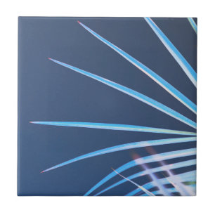 Palm Tree Leaves Minimalism Sketch Tegeltje