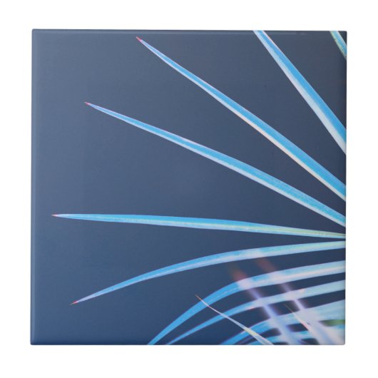 Palm Tree Leaves Minimalism Sketch Tegeltje (Voorkant)