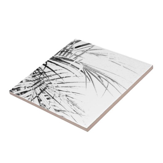 Palm Tree Leaves Minimalism Sketch Tegeltje (Zijkant)