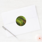 Palm Tree Leaves Summer Beach Tropical Wedding Ronde Sticker (Envelop)