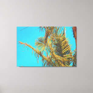 Palm Tree Leaves Turquoise Sky Canvas Afdruk