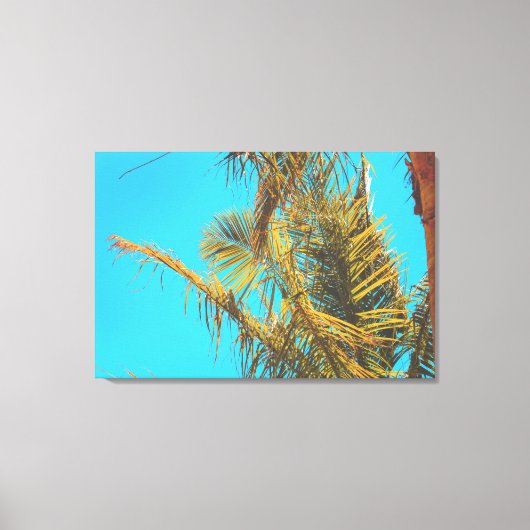 Palm Tree Leaves Turquoise Sky Canvas Afdruk (Voorkant)