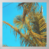 Palm Tree Leaves Turquoise Sky Poster (Voorkant)