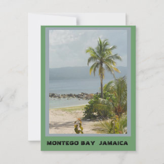 Palm Tree, Montego Bay Jamaica  Briefkaart