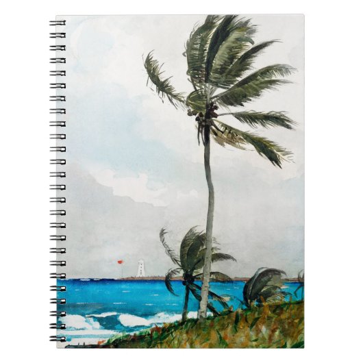 Palm Tree (Nassau) (1898) van Winslow Homer Notitieboek (Voorkant)