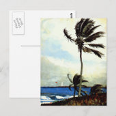Palm Tree-Nassau Briefkaart (Voorkant / Achterkant)