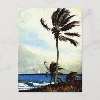 Palm Tree-Nassau Briefkaart