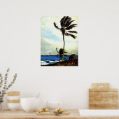 Palm Tree-Nassau Poster (Keuken)