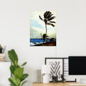 Palm Tree-Nassau Poster (Thuiskantoor)