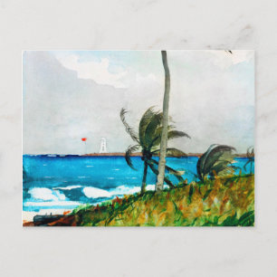 Palm Tree Nassau van Winslow Homer Briefkaart