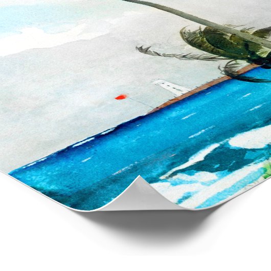 Palm Tree Nassau van Winslow Homer Poster (Hoek)