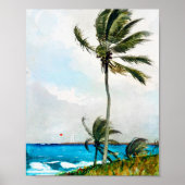 Palm Tree Nassau van Winslow Homer Poster (Voorkant)
