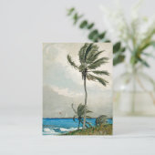 Palm Tree Nassau Winslow Homer Briefkaart (Staand voorkant)