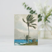Palm Tree Nassau Winslow Homer Briefkaart (Staand voorkant)