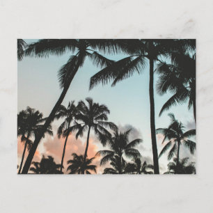 Palm Tree Silhouettes Briefkaart