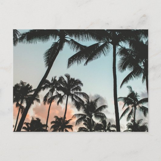Palm Tree Silhouettes Briefkaart (Voorkant)