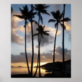 Palm Tree Silhouettes in Hawaii Poster (Voorkant)