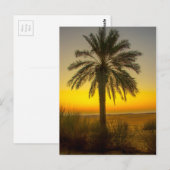 Palm Tree Sunrise Briefkaart (Voorkant / Achterkant)