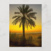 Palm Tree Sunrise Briefkaart (Voorkant)