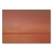 Palm Tree Sunset Beach Receptie + Hotel Kaarten (Achterkant)