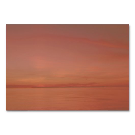 Palm Tree Sunset Beach Receptie + Hotel Kaarten (Achterkant)