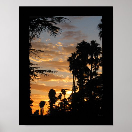 Palm Tree Sunset Los Angeles 11x14 Poster (Voorkant)