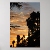 Palm Tree Sunset Los Angeles Poster (Voorkant)