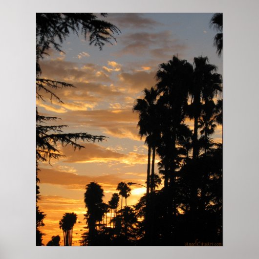 Palm Tree Sunset Los Angeles Poster (Voorkant)