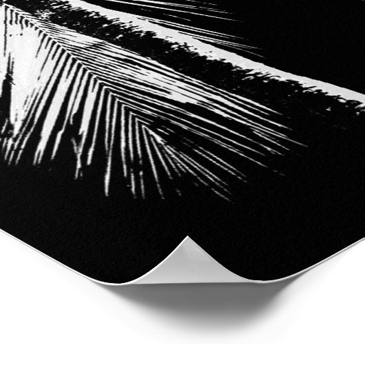Palm tree tropical summer hawaii black and white poster (Hoek)