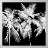 Palm tree tropical summer hawaii black and white poster (Voorkant)