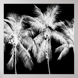 Palm tree tropical summer hawaii black and white poster