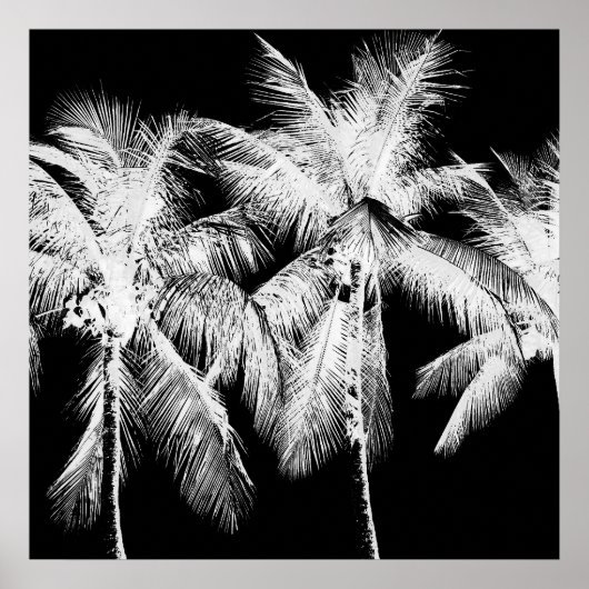 Palm tree tropical summer hawaii black and white poster (Voorkant)
