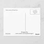 Palm Tree Vakantie Groeten Briefkaart (Achterkant)