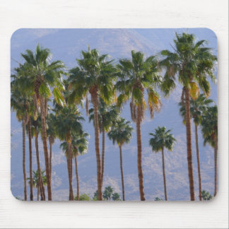 Palm Tree woestijn CaliforPalm Springs Mousepad Muismat