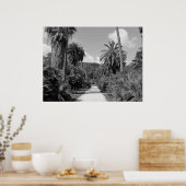 Palm Trees Abide Poster (Keuken)