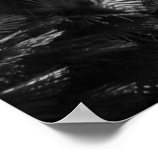 Palm Trees Abide Poster (Hoek)