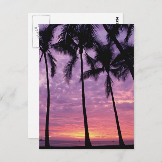 Palm Trees against Sky Briefkaart (Voorkant / Achterkant)