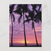 Palm Trees against Sky Briefkaart (Voorkant)