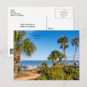Palm Trees Bayside Morning Briefkaart (Voorkant / Achterkant)