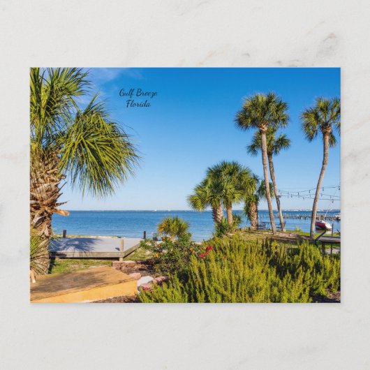 Palm Trees Bayside Morning Briefkaart (Voorkant)