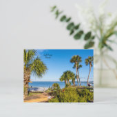 Palm Trees Bayside Morning Briefkaart (Staand voorkant)