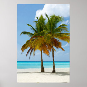 Palm Trees Beach Blue Zee Sky Sunny Day Poster