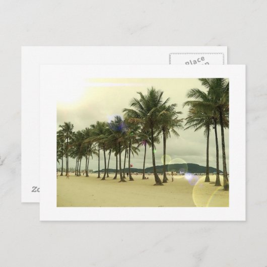 Palm Trees Beach Briefkaart (Voorkant / Achterkant)