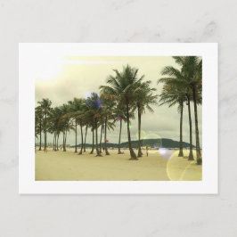 Palm Trees Beach Briefkaart
