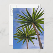 Palm Trees Card Briefkaart (Voorkant / Achterkant)