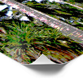 Palm Trees Design Posterized Effect Perfect Poster (Hoek)
