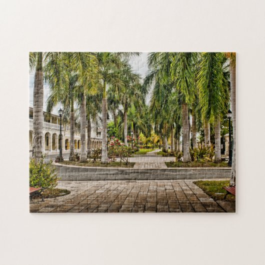 Palm Trees Historic Frederiksted US Maagdeneilande Legpuzzel (Horizontaal)